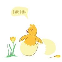 Cute chicken in an eggshell vector