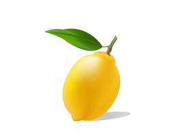 lemon 3d concept
