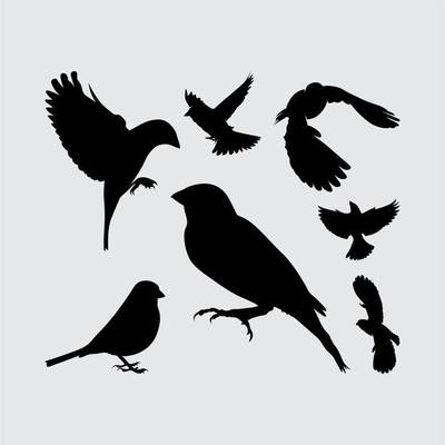 sparrow bird eagle albatros silhouette set logo icon vector design inspiration