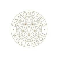 logotipo simple de diamantes y estrellas, logotipo de joyería o minería de diamantes vector