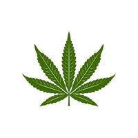 Single Hemp Pot Marijuana Cannabis leaf vector