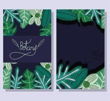 botany tropical cards vector