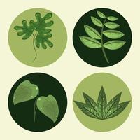 set of jungle leaves vector