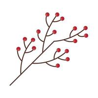 branch and berries vector