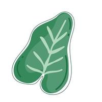 tropical leaf icon vector