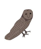 Owl vector file