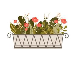 Window long low box with different growth plants and flowers. Balcony green garden. Colored flat vector illustration isolated on white background