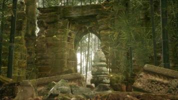 les ruines d'anciens bâtiments dans la forêt de bambous verts video