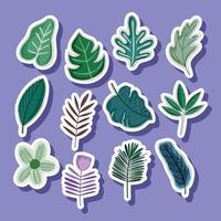 tropical leaves stickers vector