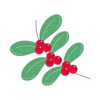 branch and fruits vector