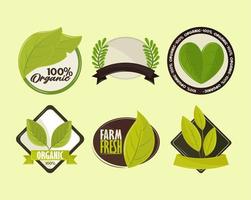 etiquetas para productos orgánicos vector