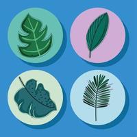 tropical leaves icons vector