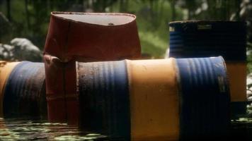 Rusty barrels in green forest video