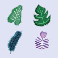 tropical leaves and flower vector