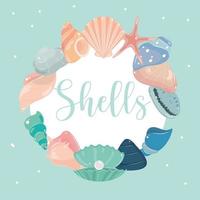 shells marine life vector
