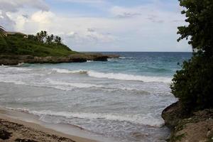 View to a bay with waves, green plants and sand photo