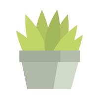 plant in pot vector