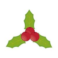 holly berry leaves vector