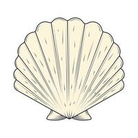 shell sea life vector