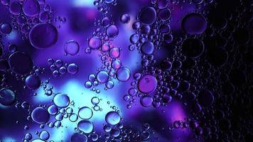 Abstract Colorful Food Oil Drops Bubbles and spheres Flowing on Water Surface, macro Videography video