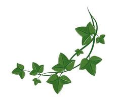 branch leaves nature vector