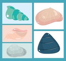 shells nature icons vector