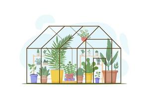 Planting greenhouse. Glass orangery, botanical garden greenhouse. Home garden, succulents, flowers, potted plants.  Plants hanging on ropes. For posters, banners, postcards