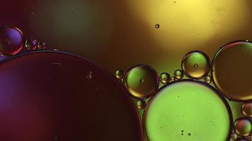 Abstract Colorful Food Oil Drops Bubbles and spheres Flowing on Water Surface, macro Videography video