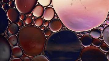 olio di cibo colorato astratto gocce bolle e sfere che scorrono sulla superficie dell'acqua, videografia macro video