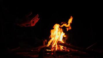 leg brandhout op het vuur. kamperen in het kampvuur brandt in de natuur in het donker. een vuur maken. veilig gebruik van vuur in het bos. video