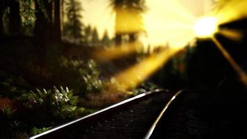 autumn colours along a railway track at sunset video