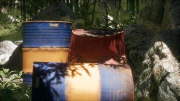 Rusty barrels in green forest video