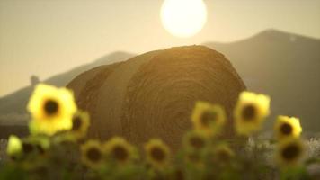 hay bales in the sunset video