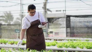 contadino asiatico che controlla le verdure idroponiche in una fattoria idroponica. controllo e registrazione su tablet. lavorando come agricoltore nella fattoria idroponica della serra. cibo salutare. buon cibo e buona vita video