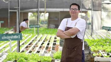 glada asiatiska glasögon man bonde står och ler i en hydroponics gård. framgångsrik verksamhet av grönsaksträdgård i växthuset på morgonen video