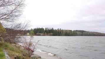 landschaft mit schönem meer und ruhigen wellen mit wald- und haushintergrund, schweden video