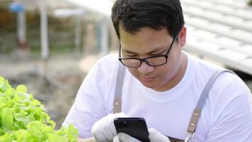 cierre a un agricultor asiático serio comprobando la calidad de las verduras hidropónicas y haciendo una llamada telefónica en una granja hidropónica. trabajando como agricultor. comida sana. vegetales orgánicos video
