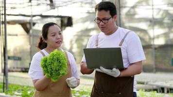 pareja de granjeros asiáticos revisando vegetales orgánicos y grabando en una laptop en una granja hidropónica. comida sana. buena comida y buen concepto de vida. vegetales orgánicos. propietario de una pequeña empresa y negocio. video