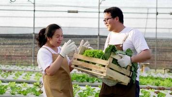 Happy Asian farmer couple standing and checking organic vegetables in a hydroponic farm. Collecting vegetables. healthy food. Good food and good life concept. Organic vegetables