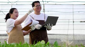 felice coppia di agricoltori asiatici che controlla stock e ordine di verdure biologiche e registra sul computer portatile in una fattoria idroponica. cibo salutare. buon cibo e buon concetto di vita. verdure biologiche video