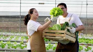 Happy Asian farmer couple standing and checking organic vegetables in a hydroponic farm. Collecting vegetables. healthy food. Good food and good life concept. Organic vegetables