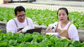 Asian farmer couple checking stock and order and  quality of organic vegetables and recording on laptop and paper in a hydroponic farm. healthy food concept. Organic vegetables