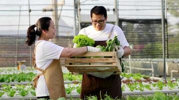 feliz casal de agricultores asiáticos em pé e verificando vegetais orgânicos em uma fazenda hidropônica. coletando vegetais. comida saudável. boa comida e bom conceito de vida. vegetais organícos video