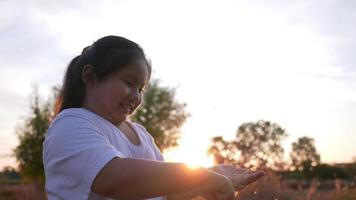 nahaufnahme asiatisches mädchen mit weißem t-shirt, das auf reisfeldhintergrund mit sonnenuntergang spielt, süßes mädchen, das blume in der landschaft lächelt und hält, kind, das auf rasenfeld der reislandwirtschaft steht video