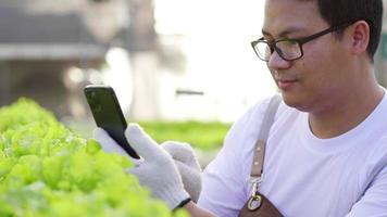 feche o agricultor asiático verificando a qualidade dos vegetais hidropônicos e tirando uma foto pelo smartphone de vegetais em uma fazenda hidropônica. trabalhando como agricultor. comida saudável. vegetais organícos video