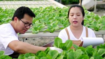 gros plan couple d'agriculteurs asiatiques vérifiant le stock, la commande et la qualité des légumes biologiques et enregistrant sur un ordinateur portable et du papier dans une ferme hydroponique. concept d'aliments sains. légumes organiques