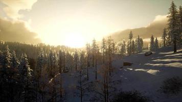 Majestic Winter Landscape Glowing by Sunlight video