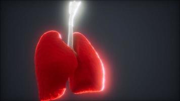 3d animation of human lungs video