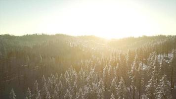 Berglandschaft an einem sonnigen Wintertag video