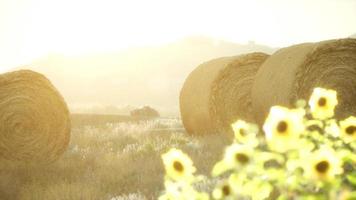 hay bales in the sunset video